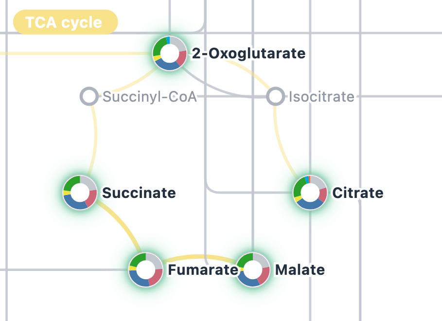The Atlas: the central-carbon map with labelling shown as coloured rings on each molecule