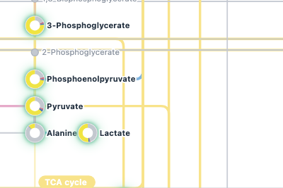 Close-up: Atlas labelling rings on 3-phosphoglycerate, phosphoenolpyruvate, pyruvate, alanine and lactate