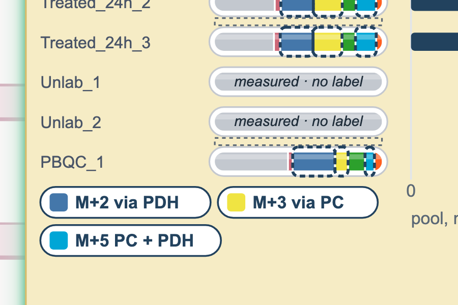 Close-up: citrate labelling bars with route tags M+2 via PDH, M+3 via PC and M+5 via both