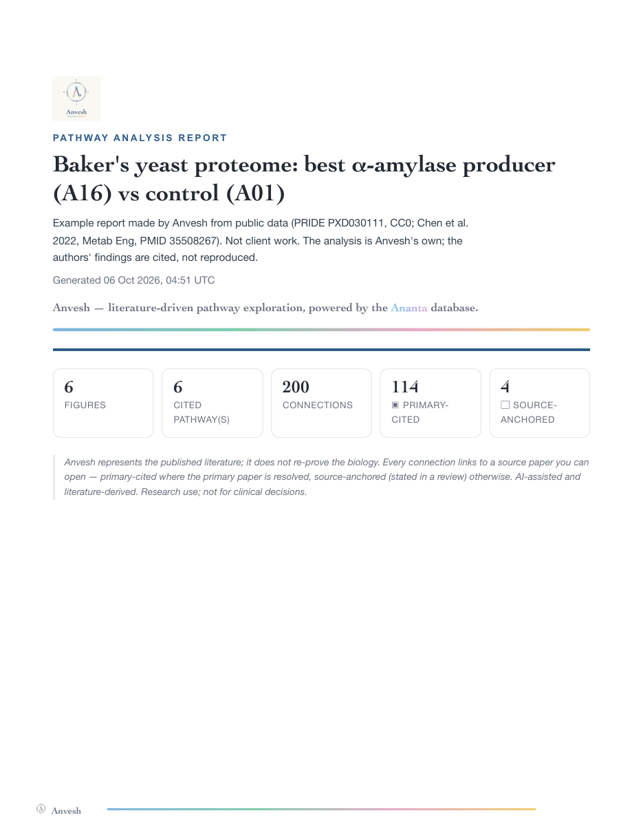 Report cover: Baker's yeast proteome, best alpha-amylase producer (A16) versus control (A01)